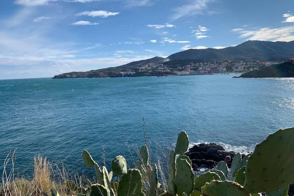 Attique A Banyuls - Vue Mer Et Montagne Екстериор снимка